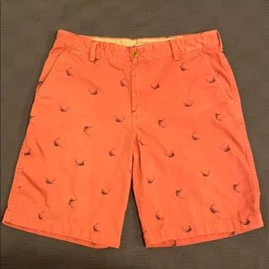 IZOD Saltwater edition shorts